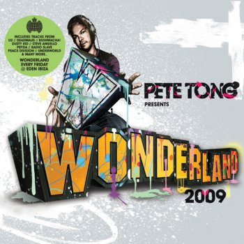 Pete Tong Wonderland 2009, Pt. 2 (Continuous DJ Mix) [Bonus Track]
