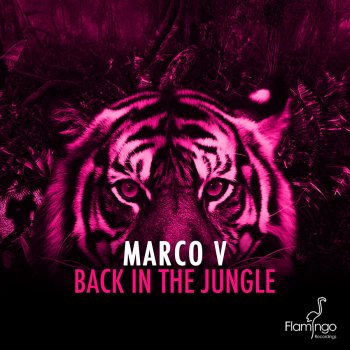 Marco V Back In The Jungle - Radio Mix