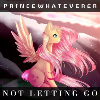 Princewhateverer feat. Cgscrambles, P1k & Manta Not Letting Go