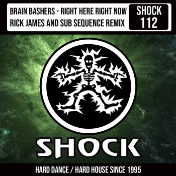 Brain Bashers feat. Rick James & Sub Sequence Right Here Right Now - Rick James & Sub Sequence Remix - Radio Edit
