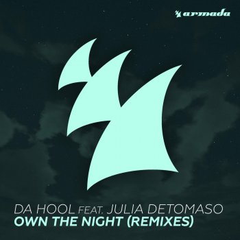 Da Hool feat. Julia DeTomaso Own the Night (Acoustic Version)