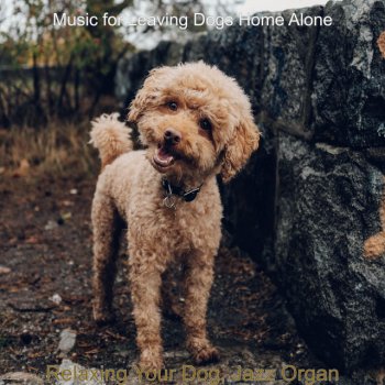 Music for Leaving Dogs Home Alone Artistic Ambience for Keeping Dogs Entertained