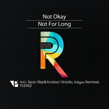 Not Okay feat. Andrea Viniolla / Sean Rise Not for Long - Sean Rise & Andrea Viniolla Remix