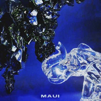 Maui Platina