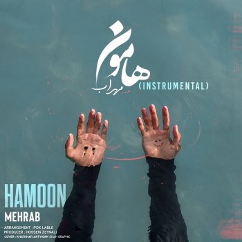 Mehrab Hamoon (Instrumental)