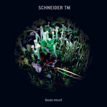 Schneider TM More Time