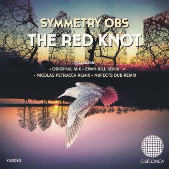 Symmetry Obs feat. NuFects The Red Knot - NuFects Dub Remix