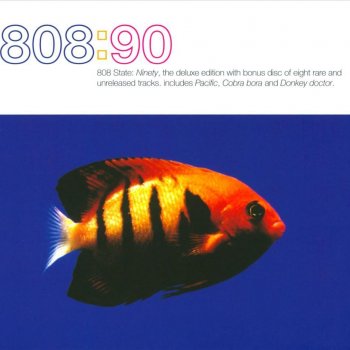808 State The Fat Shadow (Pointy Head Mix)