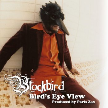 Blackbird Confessions