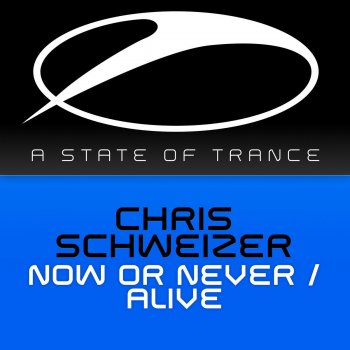 Chris Schweizer Now Or Never - Radio Edit