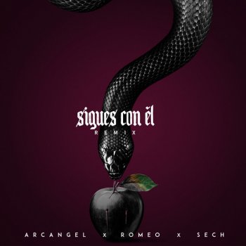 Arcangel feat. Sech & Romeo Santos Sigues Con El - Remix