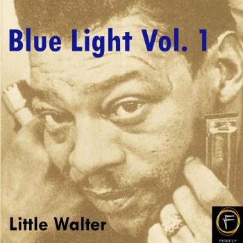 Little Walter Boom Boom Out Go the Lights