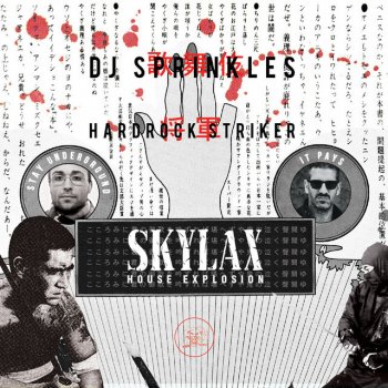 DJ Sprinkles feat. Hardrock Striker & Nico Marks Real Funk Dont Die