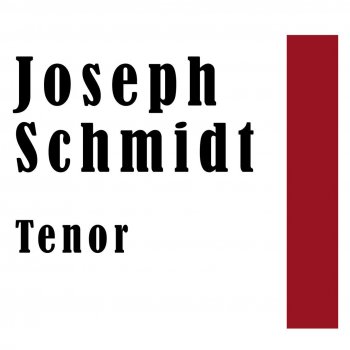 Joseph Schmidt Simplicus