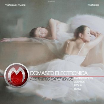 Domased Electronica Aesthetic Experience - Matteo Monero Remix
