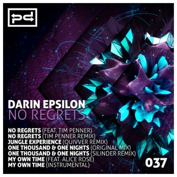 Darin Epsilon My Own Time - Instrumental