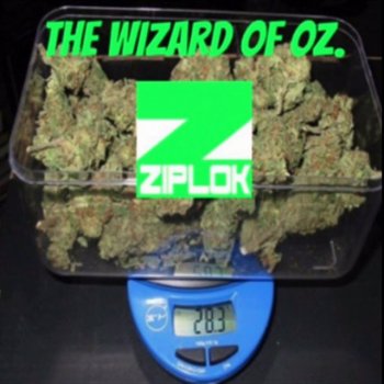 Ziplok The Wizard of Oz.