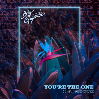 Big Gigantic You’re the One (feat. Nevve)