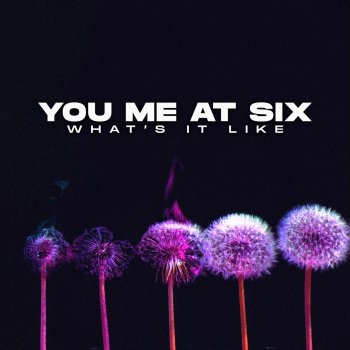 You Me At Six What's It Like