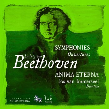 Ludwig van Beethoven feat. Jos Van Immerseel & Anima Eterna Symphonie No. 9 in D Minor, Op. 125: Symphony No. 9 in D Minor, Op. 125: II. Molto vivace