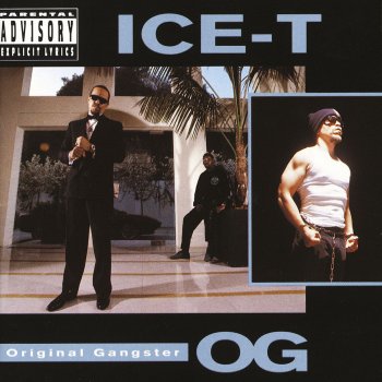 Ice-T Straight Up Nigga