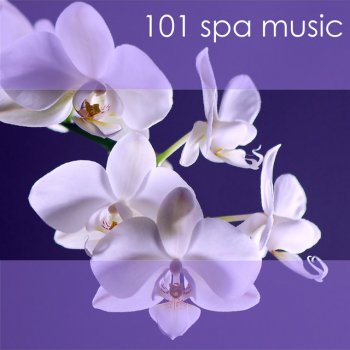 Spa Music Collective Background Music for Relaxing Scalp Massage