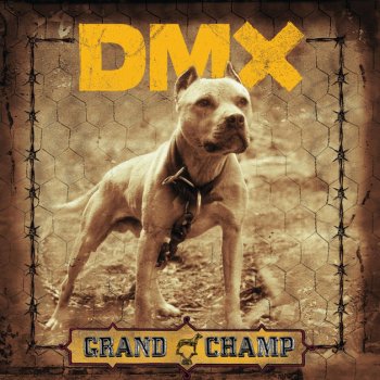 DMX feat. Monica Don't Gotta Go Home