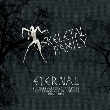 Skeletal Family Mixed Feelings - Live - Janice Long Session 19/3/85