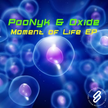 PooNyk & Oxide The Wanderer