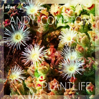 Andy Compton Silent Wandering (feat. Tenisha Edwards)