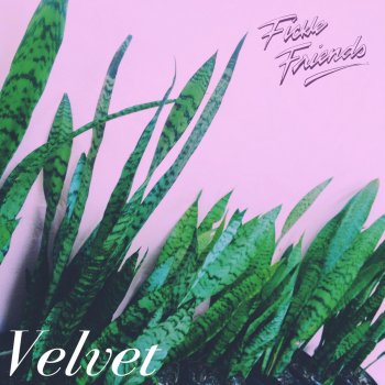 Fickle Friends Velvet