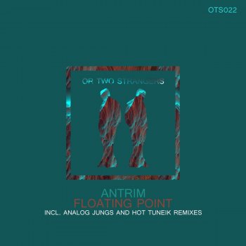 Antrim feat. Analog Jungs Floating Point - Analog Jungs Remix
