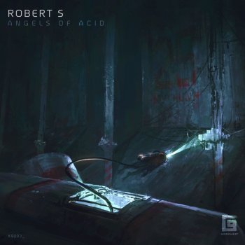 Robert S Angels of Acid
