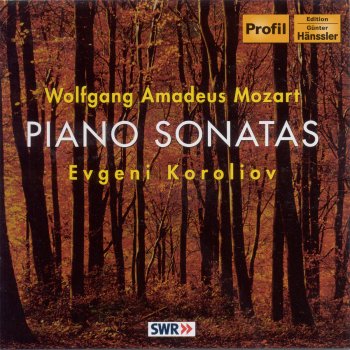 Evgeni Koroliov Piano Sonata No. 14 In c Minor, K. 457: I. Molto Allegro
