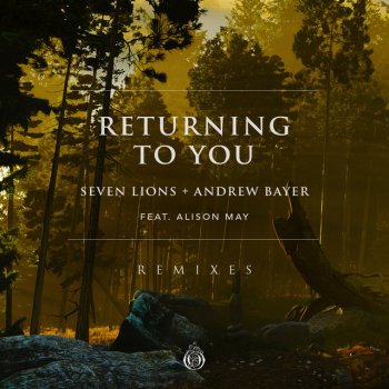 Seven Lions feat. Andrew Bayer & Alison May Returning To You (feat. Alison May)