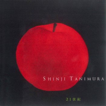 Shinji Tanimura 冬の稲妻