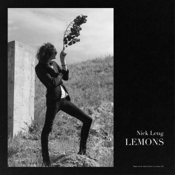 Nick Leng Lemons