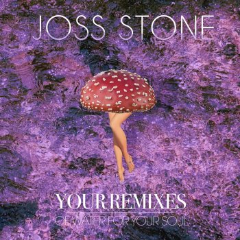 Joss Stone feat. Waggles & Bear Twists Wake Up - Waggles & Bear Twists Remix