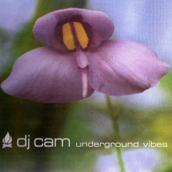 DJ Cam Underground Vibes