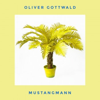 Oliver Gottwald Mustangmann