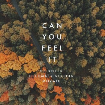 DJ Qness & December Streets feat. Mozaik Can You Feel It (Extended Mix)
