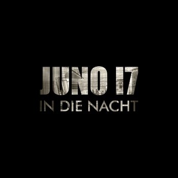 Klopfgeister feat. JUNO17 Into the Night - In die Nacht Remix