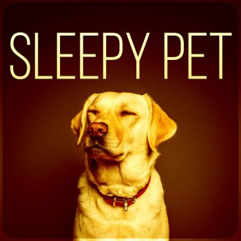 Pet Music Academy Sleepy Pet