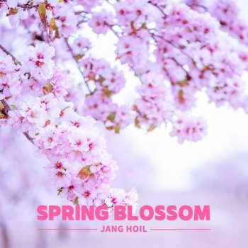 Jang Hoil Spring Blossom