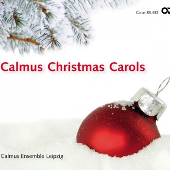 Max Reger feat. Leipzig Calmus Ensemble Schlaf', mein Kindelein (Weihnachtslied)
