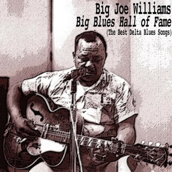Big Joe Williams Somebody's Been Foolin'