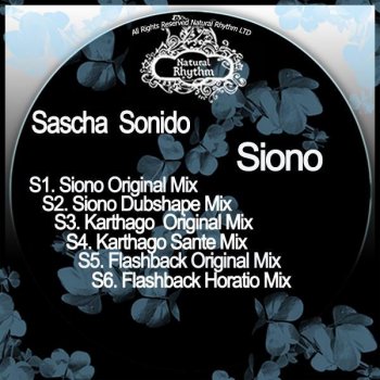Sascha Sonido feat. Horatio Flashback - Horatio Remix