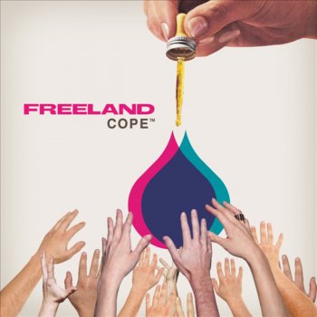 Freeland Rock On (Siriusmo Remix) [Bonus Track]