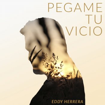 Eddy Herrera Si Tu Amor No Vuelve