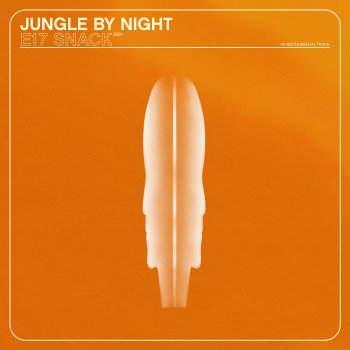 Jungle By Night E17 Snack